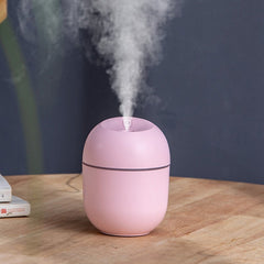 Mini Humidifier Essential Oil Nebulizer In Pakistan