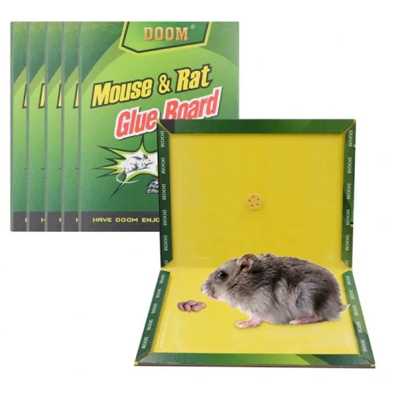 Mouse Glue Traps Expert Catch ( Pack Of 3 ) In Pakistan